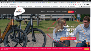 Bikkel Bikes - Screenshot Website
