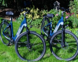 Muon elegant & leistungsstark Muon Strive