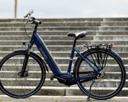 van Dijck Ceto van Dijck Ceto